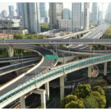 焦点访谈：汇聚微光 顽强守“沪”