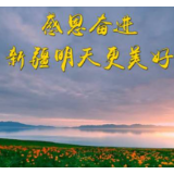 第1视点｜感恩奋进 新疆明天更美好