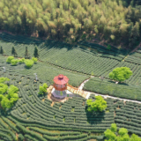 【央视快评】保护农业文化遗产是人类共同的责任