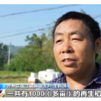 丰收好景象！稻浪滚滚、高粱饱满、瓜果飘香......