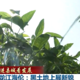 【走进县城看发展】黑龙江海伦：黑土地上展新貌 重庆云阳：筑牢生态屏障 打造幸福之城