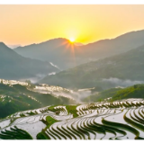微视频丨粮稳天下安
