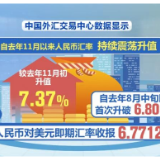 我国外汇市场运行稳健 人民币韧性凸显