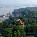 杨浩东在岳阳调研：建立可持续有效益的运营机制  让洞庭湖博物馆真正活起来