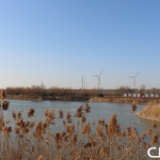 【写意中国探寻汉字起源】鹤壁从《诗经》中走来 惊艳了千年时光