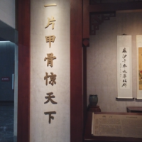 【写意中国探寻汉字起源】“大家好，我叫‘小殷’，一片来自三千多年前的甲骨……”