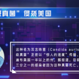 “超级真菌”侵袭美国，传播速度惊人，该怎么预防？