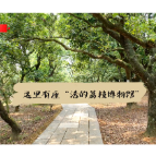 习近平广东行丨借“荔”发力 “土特产”里有大文章——走进高州市根子镇柏桥村