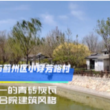 【大国基理】天津蓟州区小穿芳峪：小村庄书写“大文章”