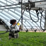 “设施农业+物联网+智能化” 戈壁滩变身现代蔬菜产业基地