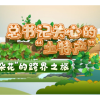 总书记关心的“土特产”｜“一朵花”的跨界之旅