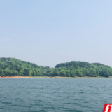夏天来了！湖南强化“水华”预警监测，守护“水缸子”安全