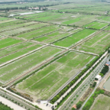 新时代中国调研行·长江篇丨野水荒滩“古雷池” 秀美安澜新高地