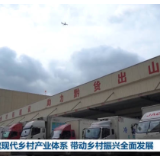 【新思想引领新征程】构建现代乡村产业体系 带动乡村振兴全面发展
