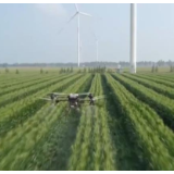 北方重点地区开展玉米大豆“一喷多促” 助力秋粮丰收