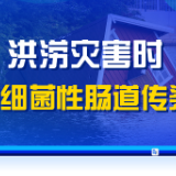 防汛科普丨洪涝灾害后谨防肠道传染病“侵扰”