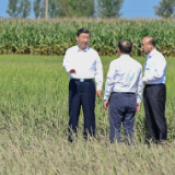 学习·知行丨关注农业高质量发展 习近平黑龙江之行心系“大国粮仓”