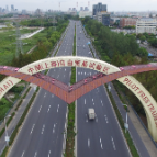 当好制度创新“头雁” 打造改革开放新高地——写在自贸试验区建设十周年之际