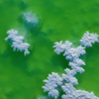 新疆罗布泊盐湖：一泓碧水映琼华