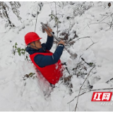 2024年抗冰保网工作纪实丨娄底供电：去时漫天风雪 归来灯火璀璨