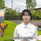 青椒视评丨AI宠物短剧爆火，能填补人们的情感空缺吗？