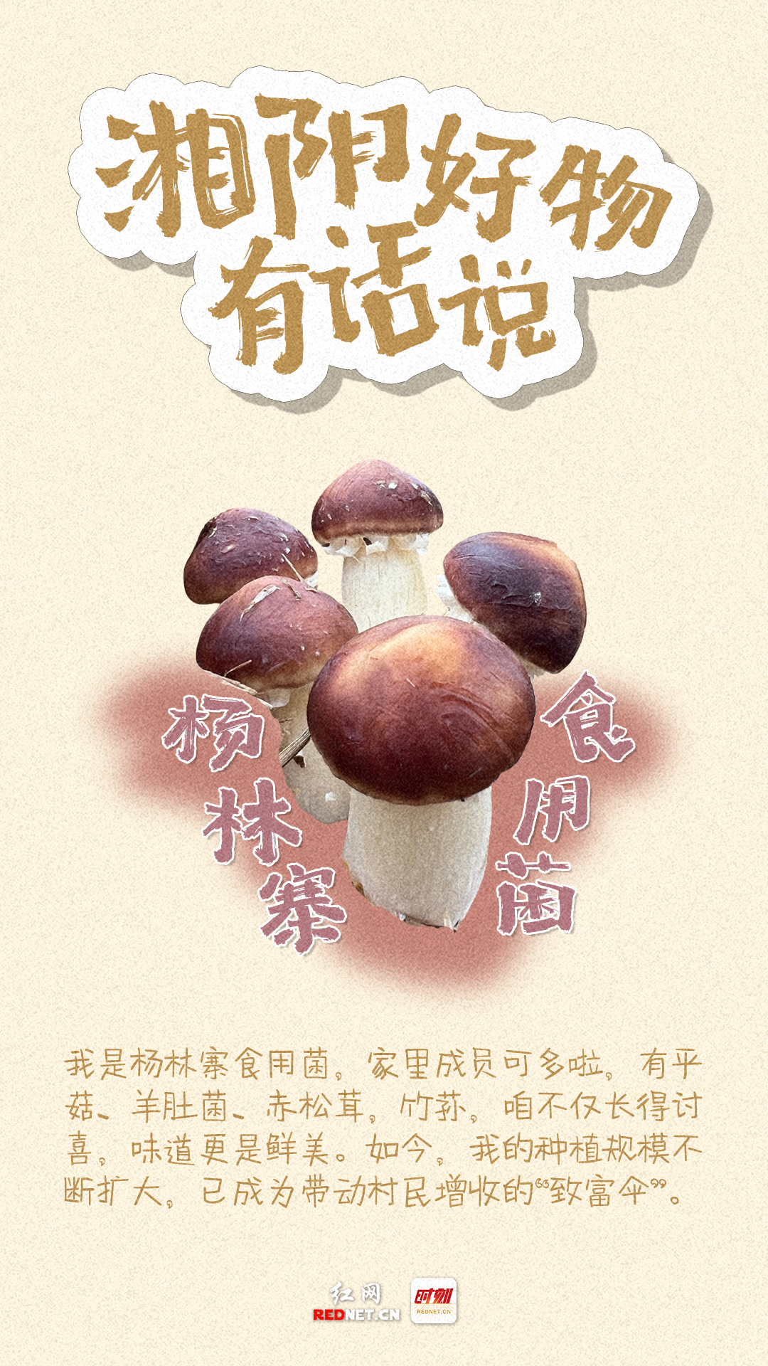 微信图片_20251114225055_1583_31.png 微信图片_20251114225055_1583_31.png