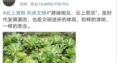 1585710018(1).jpg 1585710018(1).jpg