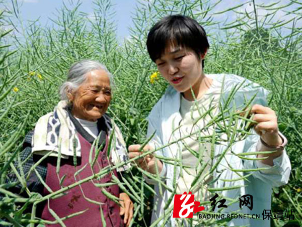 阳朝乡溪州村油菜机播种植受益户88岁高龄的周福莲婆婆在油菜地里与孙女分享丰收的喜悦.jpg