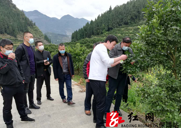 州委、县委领导与镇主要负责人现场观看指导2.jpg 州委、县委领导与镇主要负责人现场观看指导2.jpg