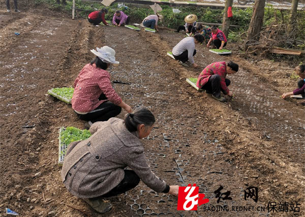 现场繁忙景象.jpg