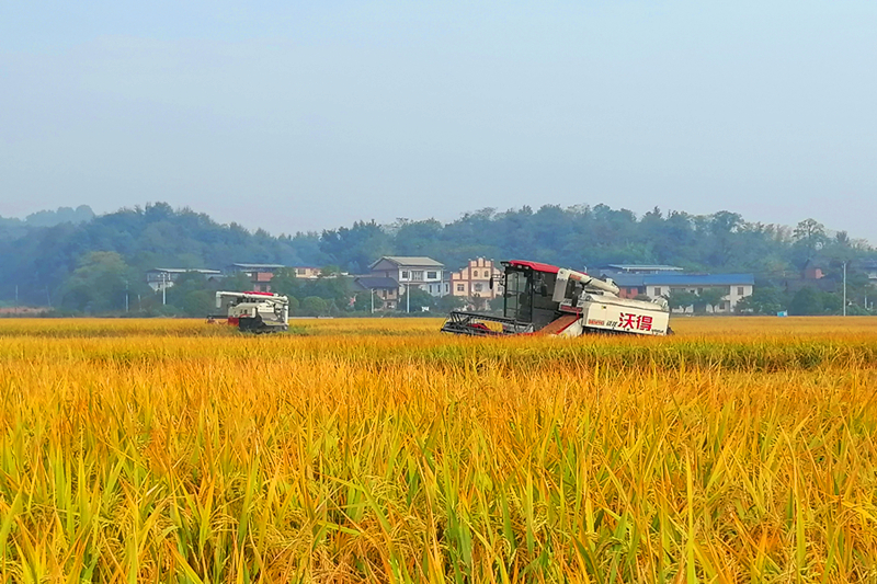 微信图片_20251029165117.jpg 微信图片_20251029165117.jpg