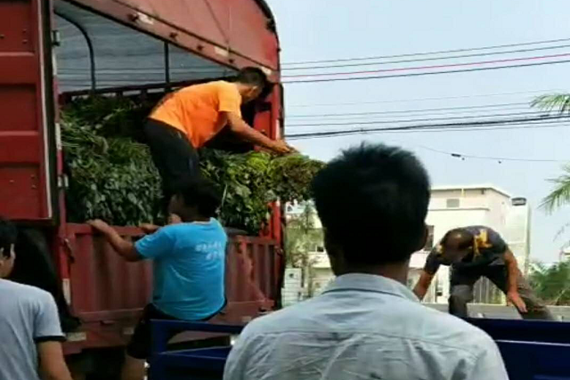图片1.png 图片1.png