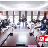 激发千亿级产业集群的“链”式效应  望城研究部署智能终端产业链建设工作