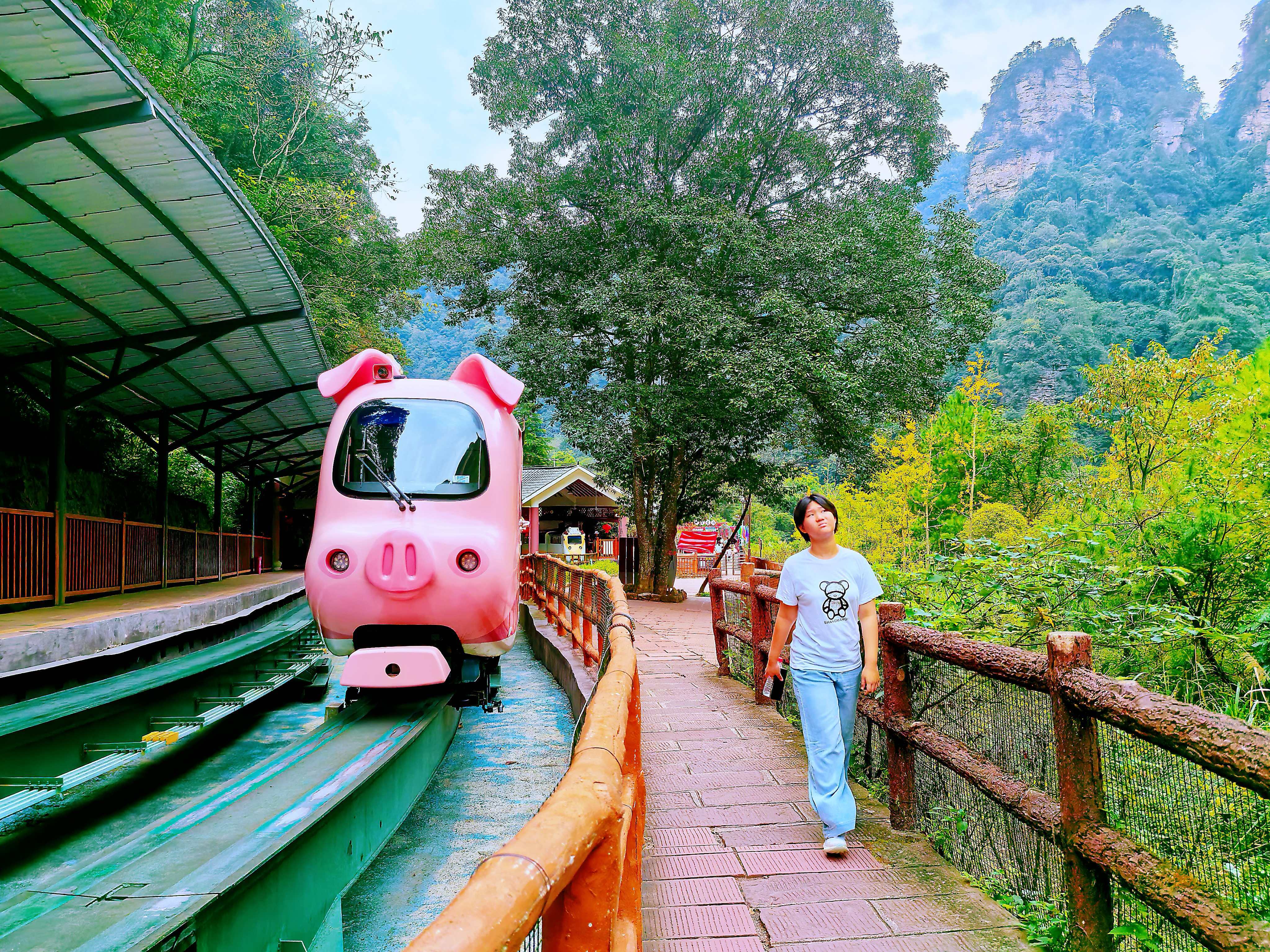 微信图片_20251002151030_700_214.jpg