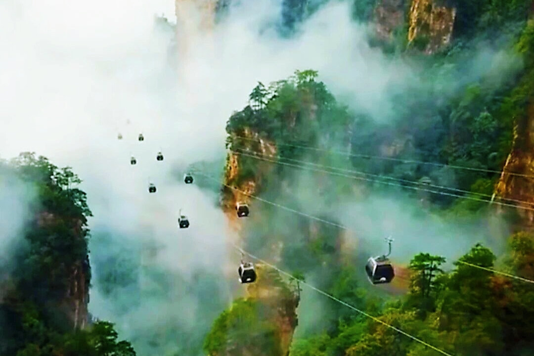 微信图片_20261015104542_737_4.jpg