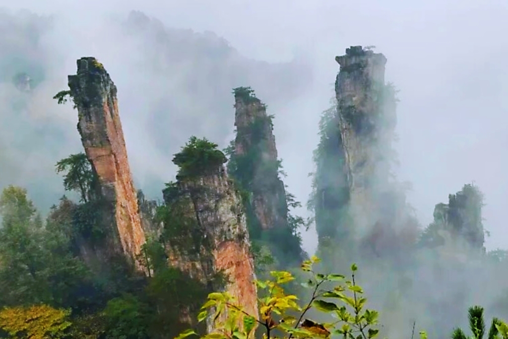 微信图片_20261015104542_739_4.jpg