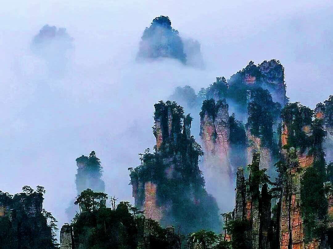 微信图片_20261027205537_803_4.jpg