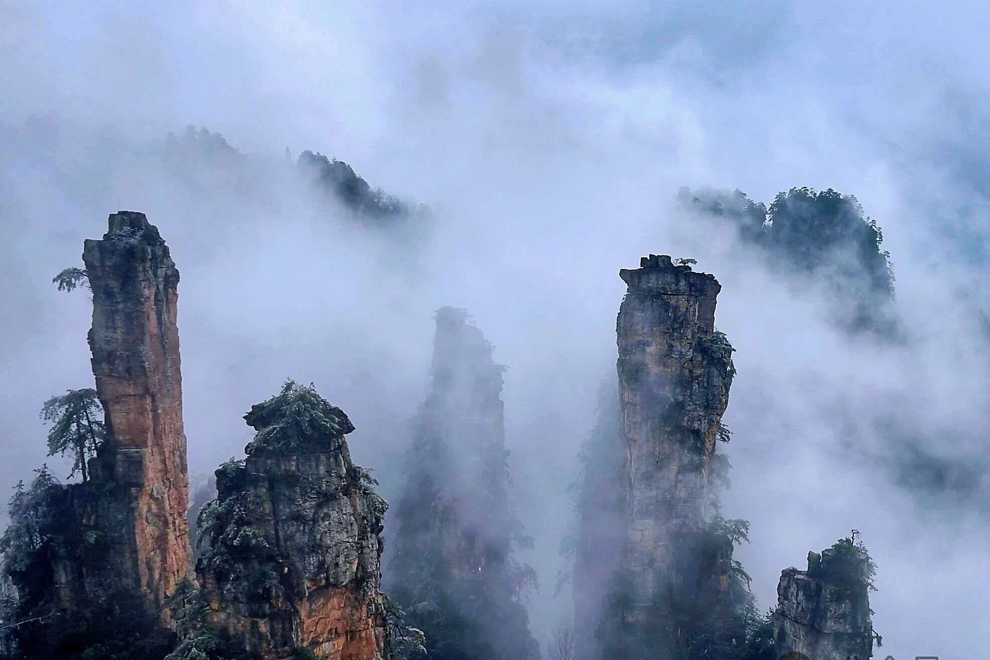 微信图片_20260201134021_388_112.jpg 微信图片_20260201134021_388_112.jpg