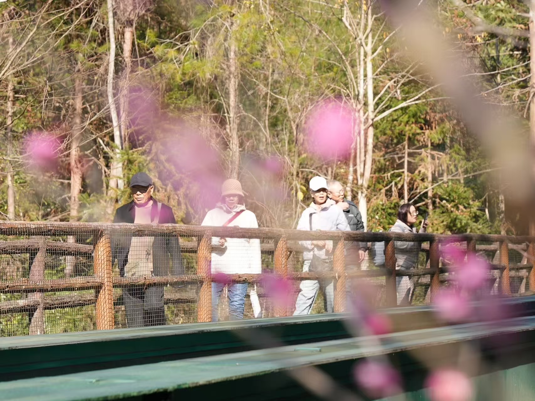 微信图片_20260202155430_1461_214.jpg 微信图片_20260202155430_1461_214.jpg