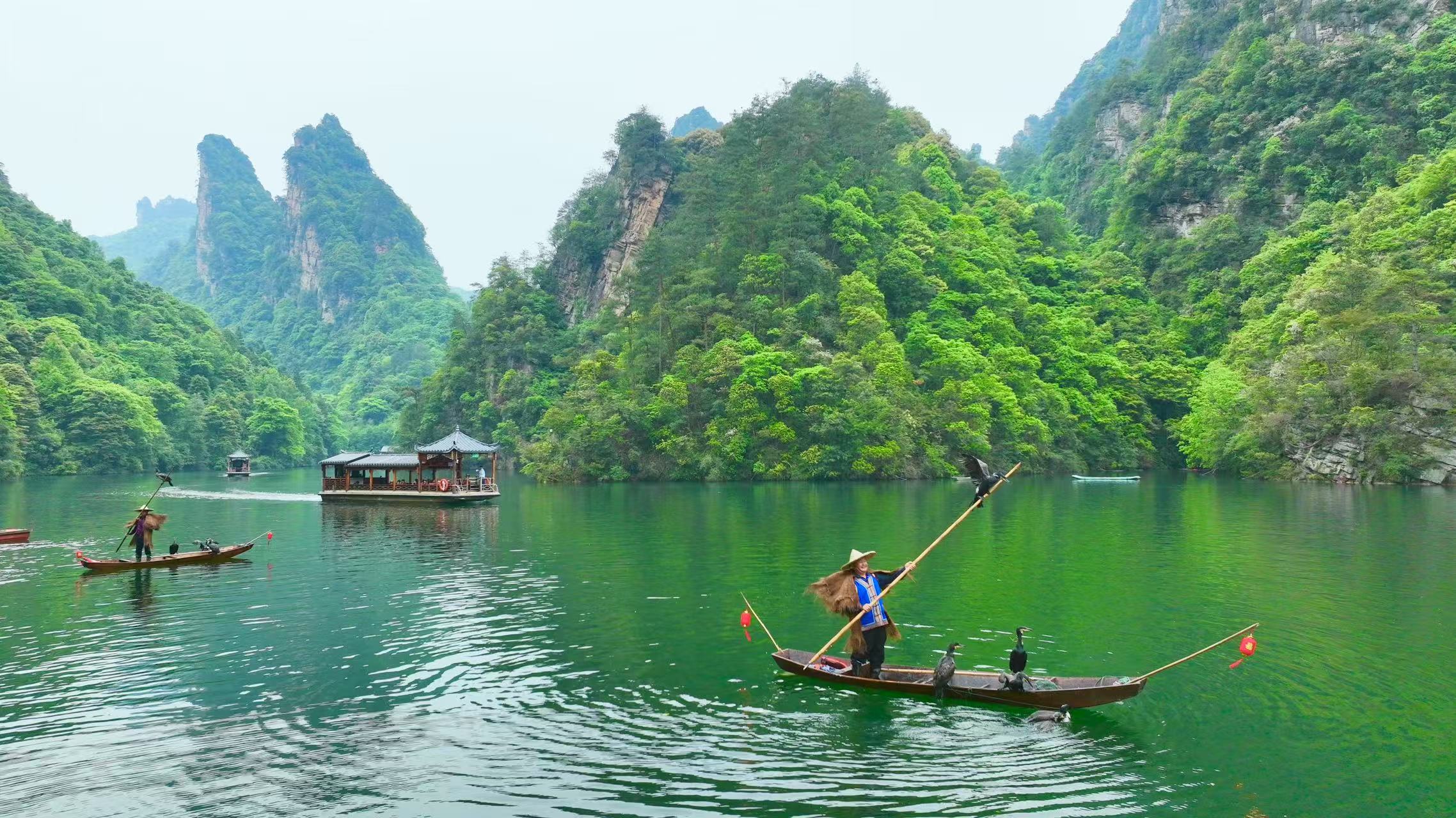 图片5.jpg 图片5.jpg