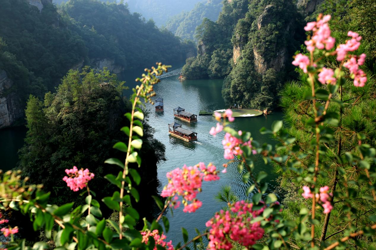 图片2.jpg 图片2.jpg