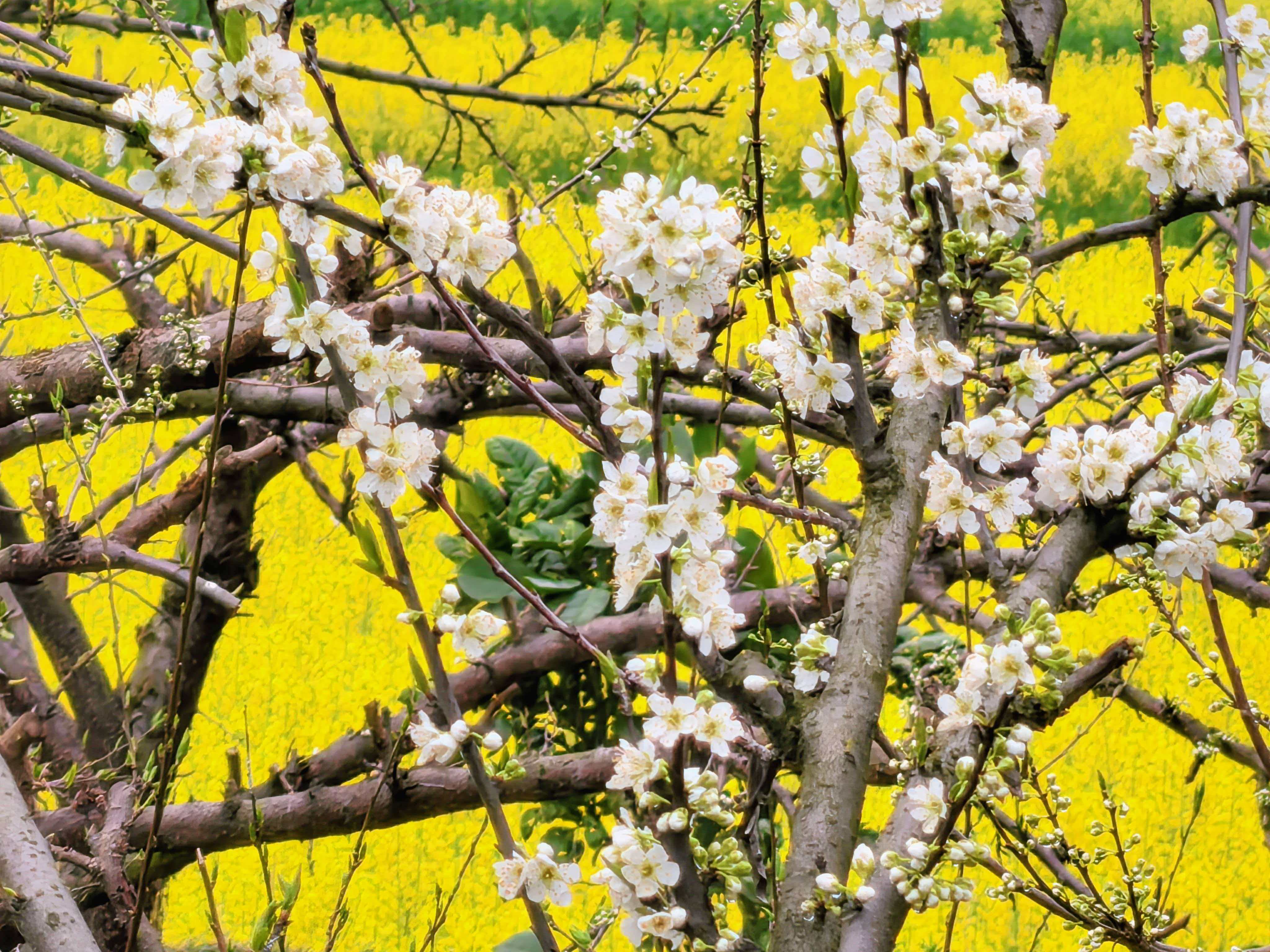 微信图片_20260309134337_1767_214.jpg 微信图片_20260309134337_1767_214.jpg