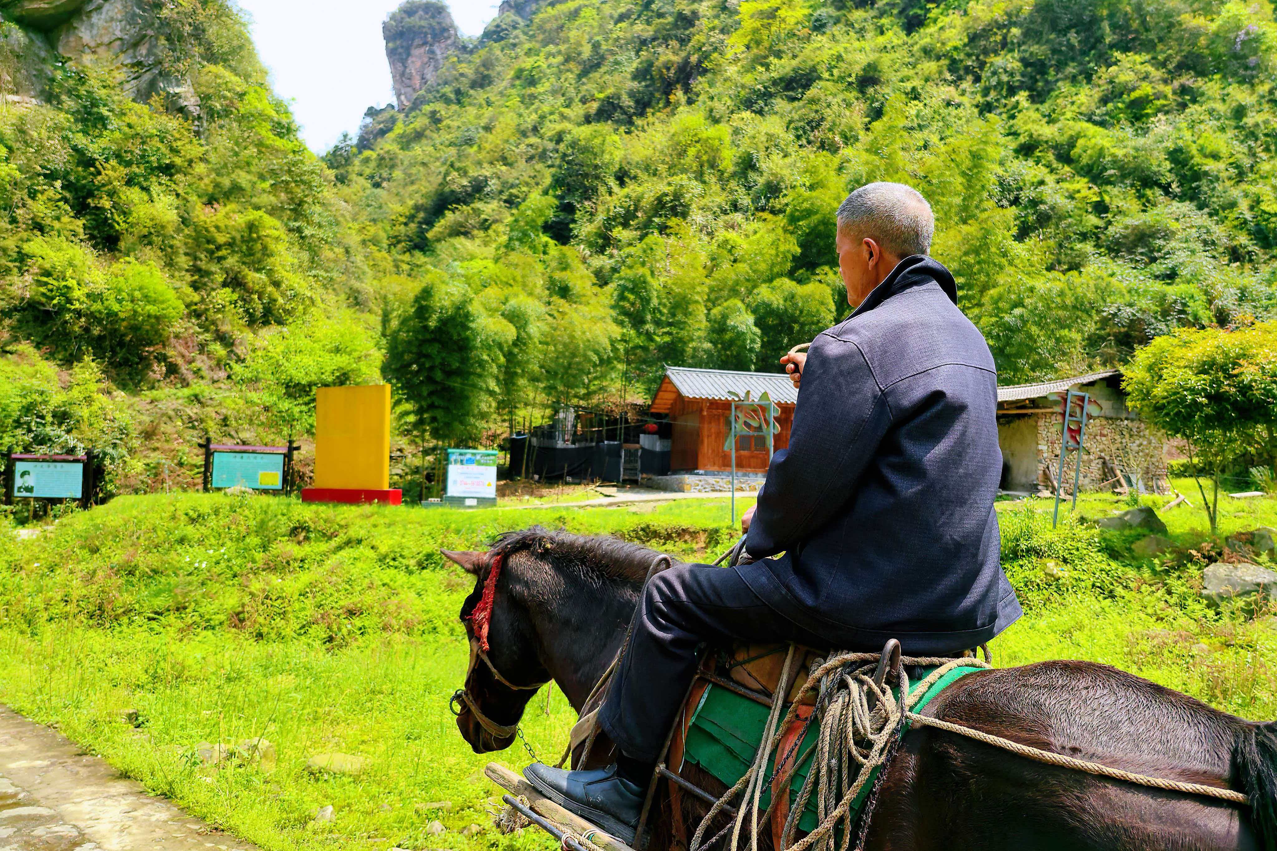 微信图片_20260412163456_847_112.jpg 微信图片_20260412163456_847_112.jpg