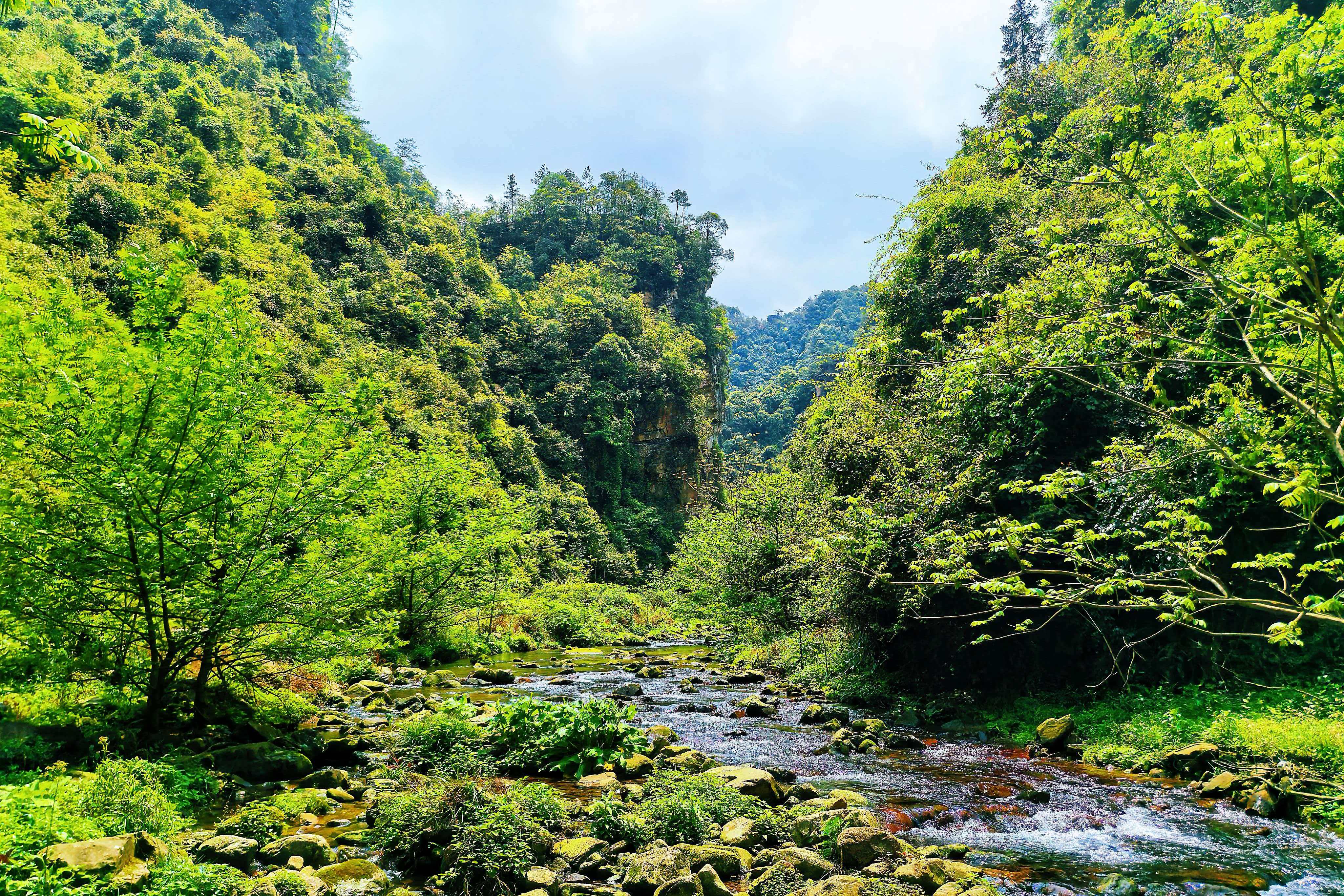 微信图片_20260412163503_855_112.jpg 微信图片_20260412163503_855_112.jpg