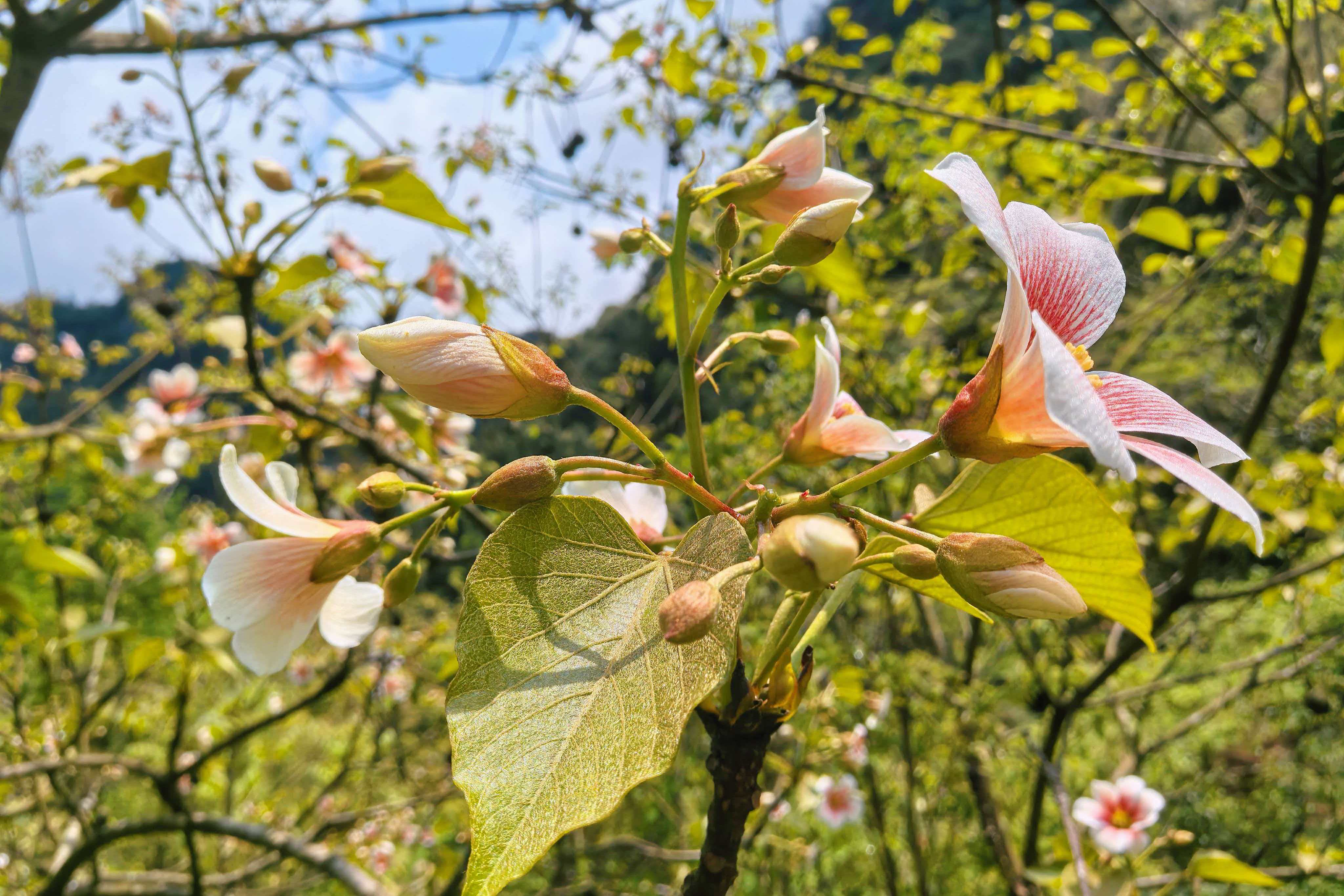 微信图片_20260412163457_848_112.jpg 微信图片_20260412163457_848_112.jpg