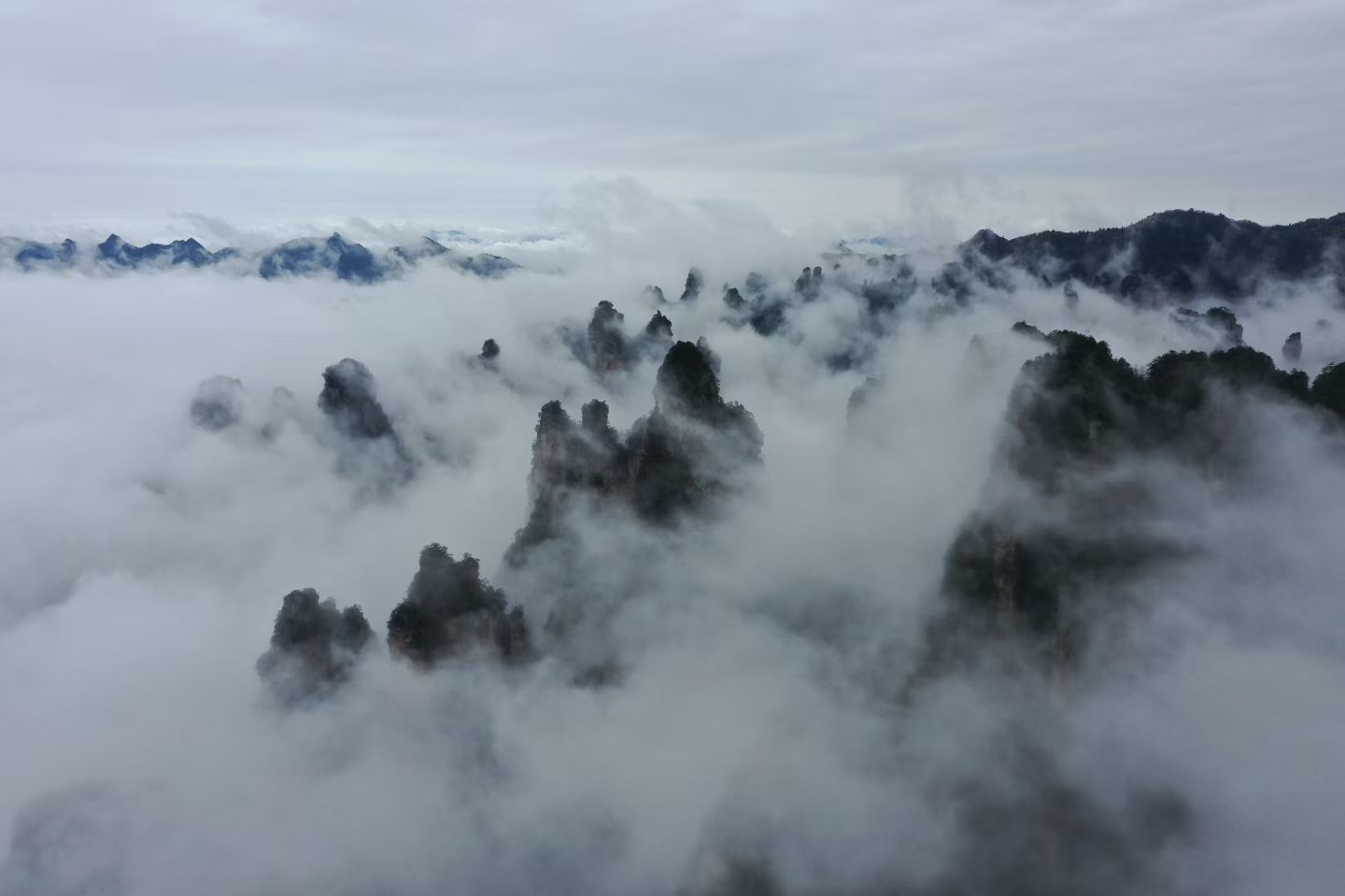 微信图片_20260516074040_1192_112.jpg