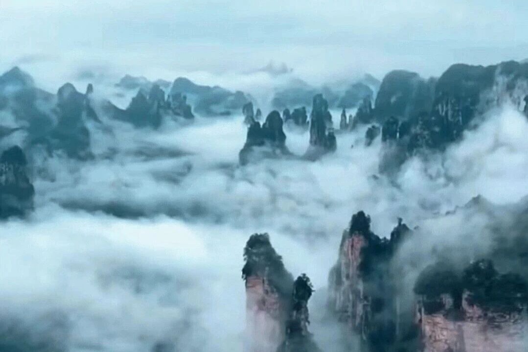 微信图片_20260516074041_1194_112.jpg