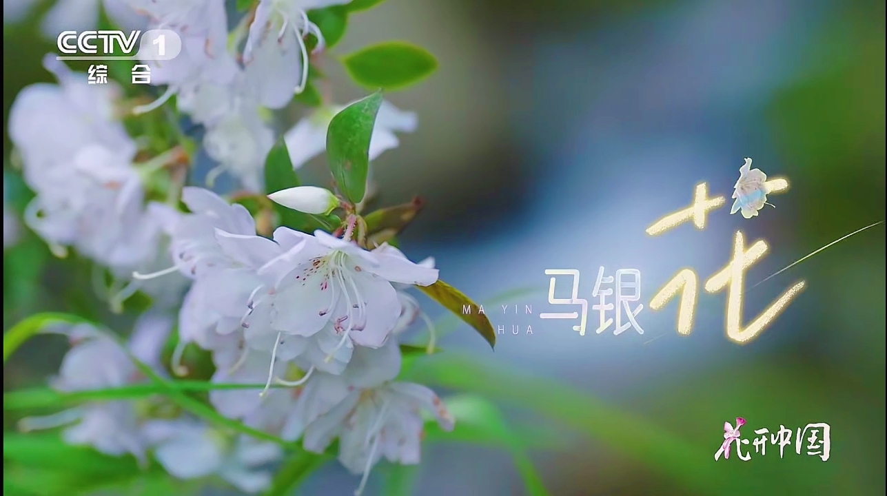 微信图片_20260524110956_1252_112.jpg