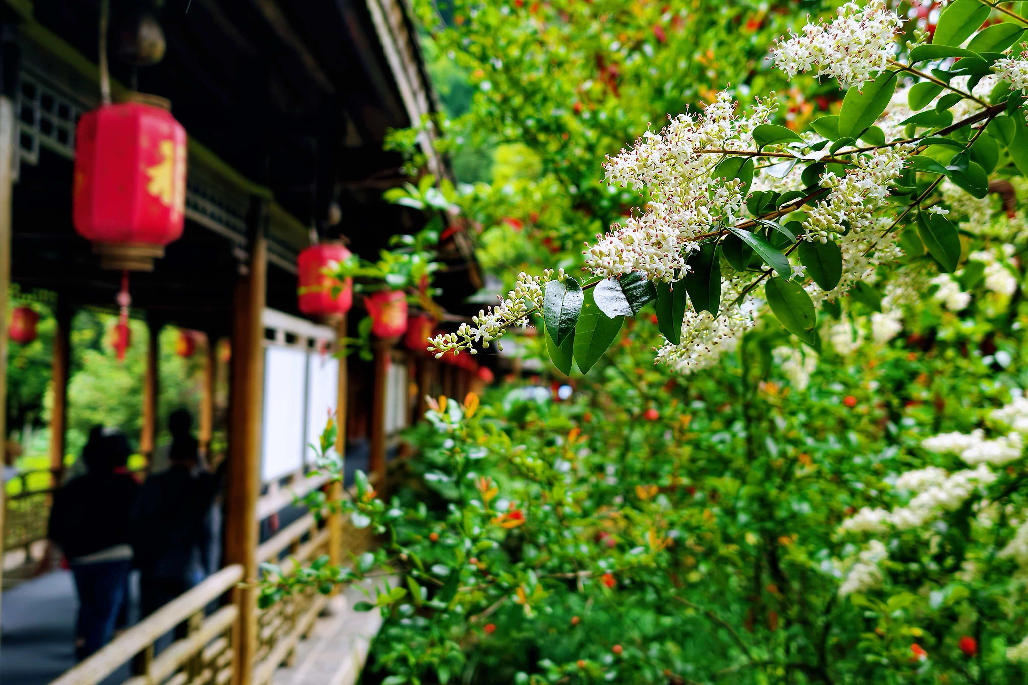 微信图片_20260507220325_1166_112.jpg