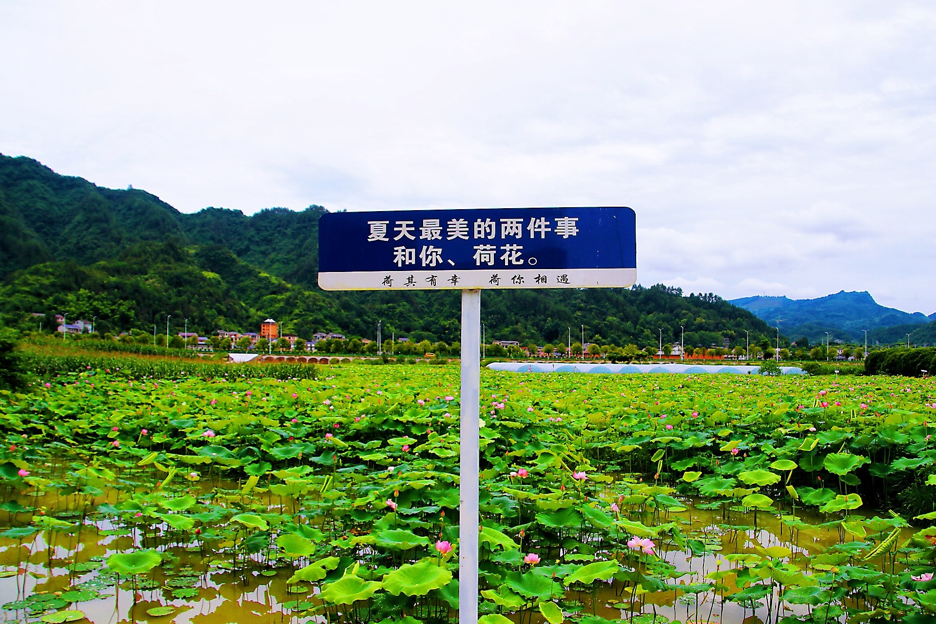 微信图片_20260701132112_20_232.jpg 微信图片_20260701132112_20_232.jpg